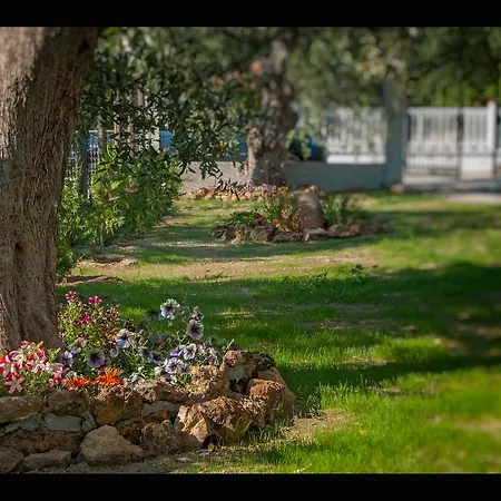 Elia Σπίτι διακοπών *