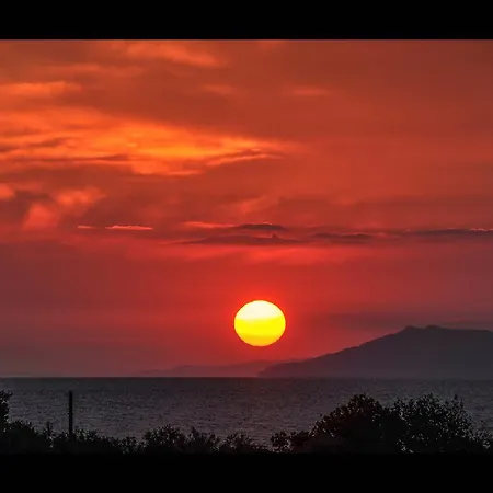 Elia * Σκάλα Σωτήρος